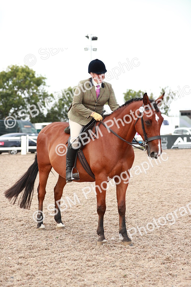 SBM_15511 - Class 213 Ridden Hunter -Large