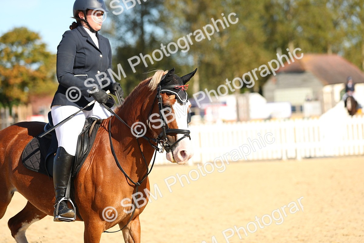 SBM_16715 - J33 - Senior 75cm Championship