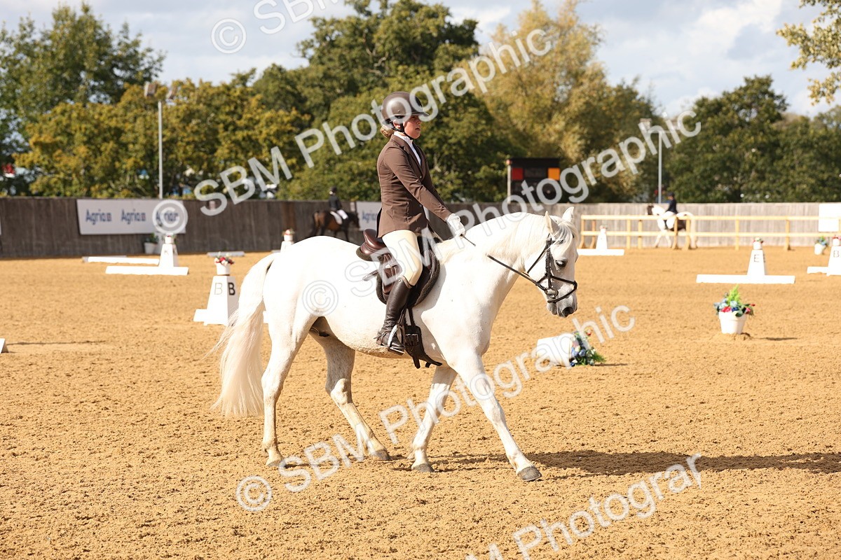 SBM_50428 - D12 - Small Tour Championship prelim 2
