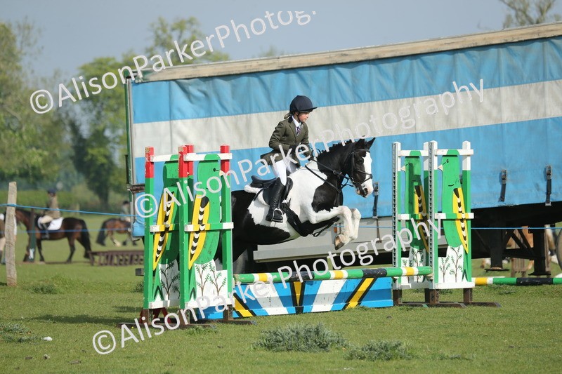 20260426-0018 - Class 13 - Rookie Jumping 50cm