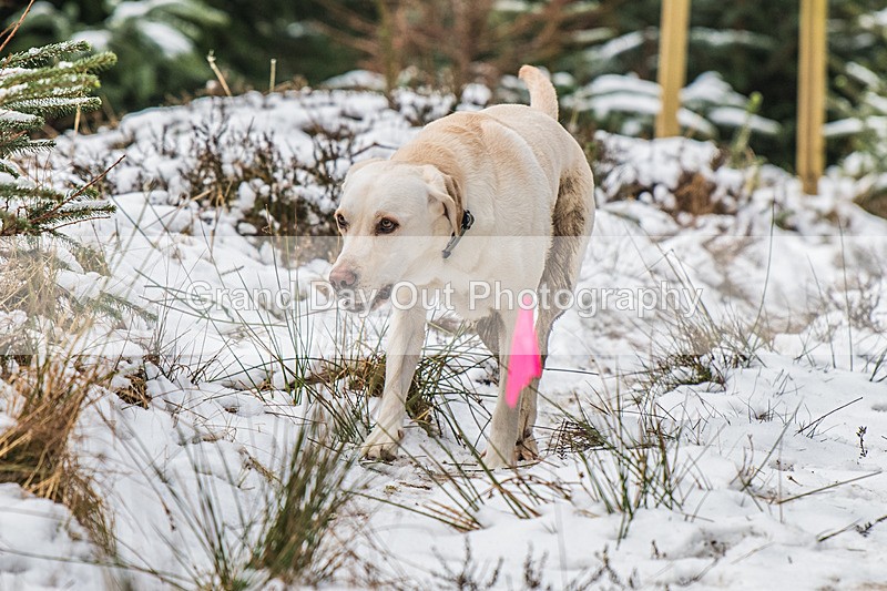 Glentress-2270 - High Terrain Events Glentress 10K 21K & 42K Trail Races Sunday 16th February 2025