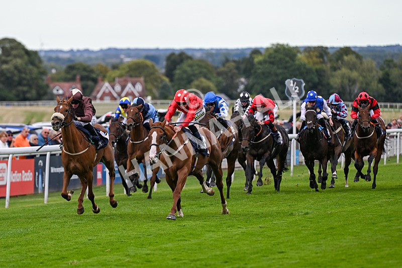 160926-Race 4-Woodvale-0634 - Race 4 3.48pm EBF Restricted Maiden Stakes