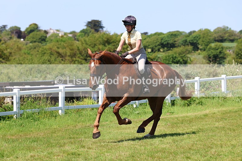 3E7A8093 - Working Hunter Championship