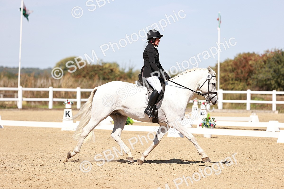 SBM_004961 - Class 12 - Novice 5 - 12.02-12.44