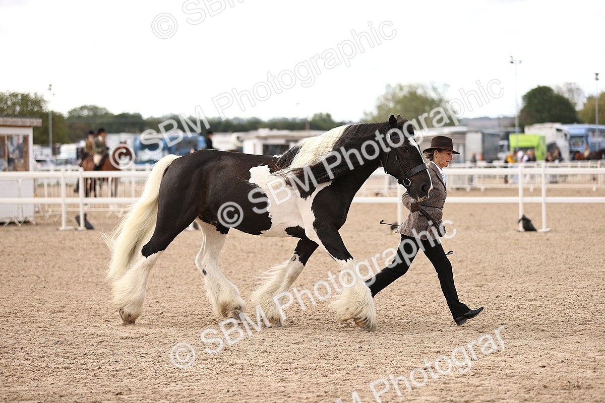 SBM_09305 - Class 404 - IH Traditional - Native Cob