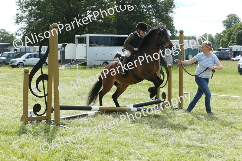 20260614-0131 - Class 1 - 30cm Lead Rein
