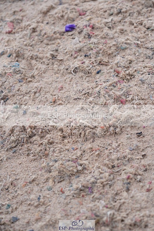 250607-134940-01241 - Cls 34 Stepping Stones