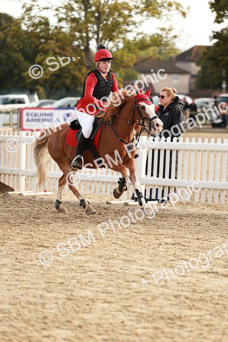 SBM_55632 - J11 - Junior Pony 50cm Championship