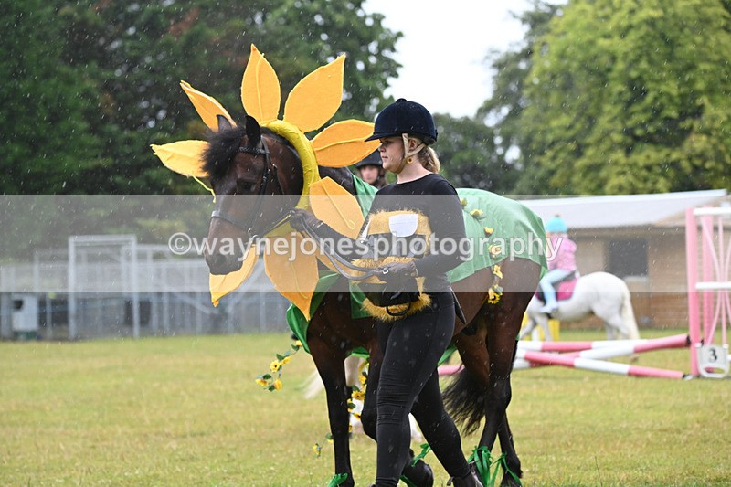 WJ6_9227 - Class 11 Fancy Dress