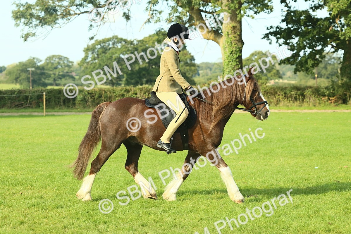 SBM_59837 - S38 - Starters Ridden Showing