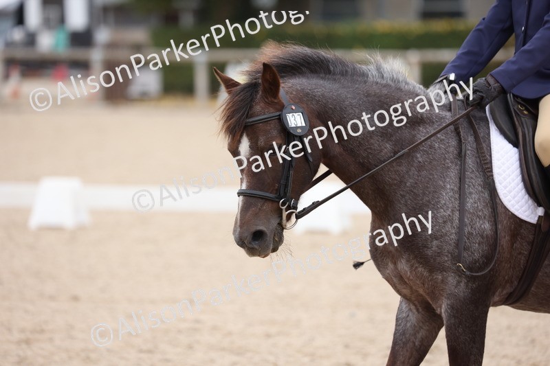 20250819-0891 - Class 2 - Prelim 1