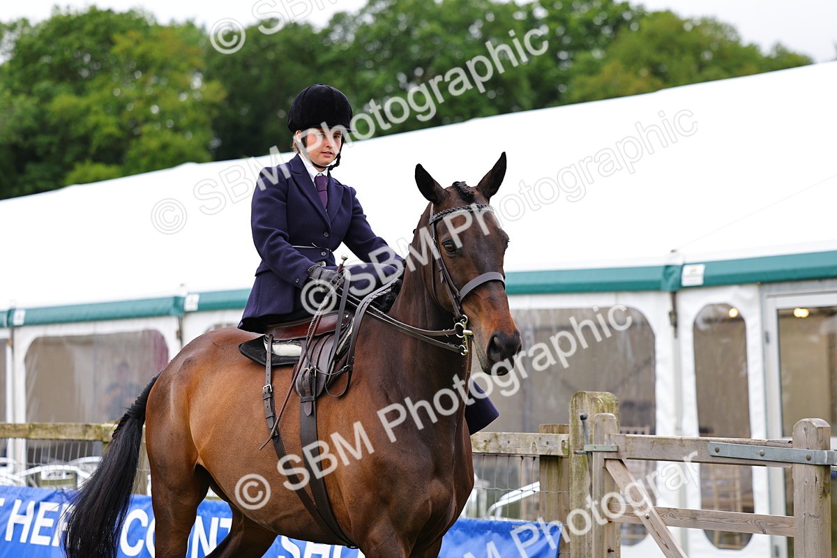 SBM_02688 - Class 9-11 Side Saddle including LIHS Rising Star Ladies Show Horse