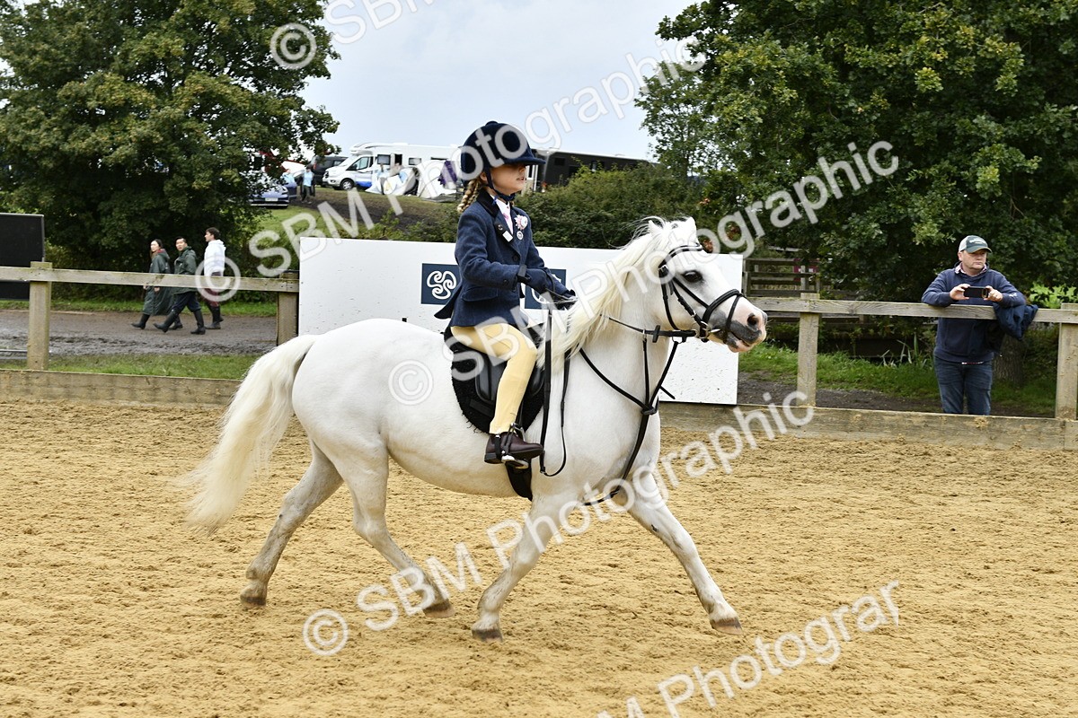 SBM_60529 - J61 - Mini Clear Round 30cm & 40cm