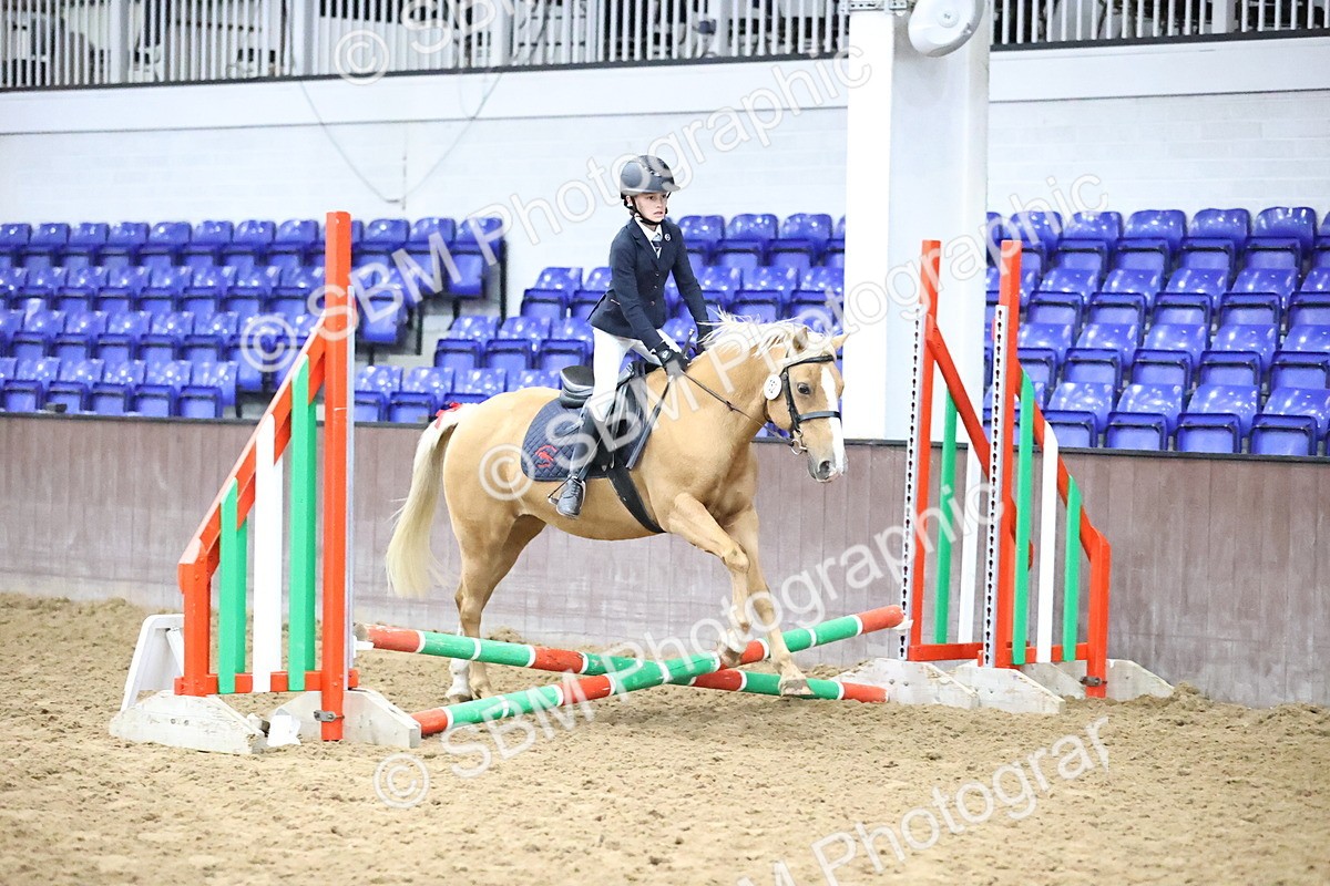 SBM_000107 - Class 2 - The Rug Lady 40cm Area 12 Championship Qualifier