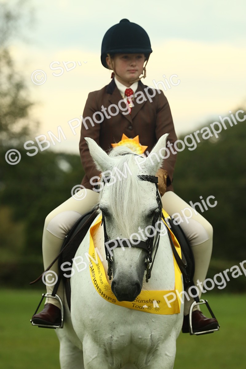 SBM_72318 - S60 - Mountain & Moorland Ridden Large Breeds