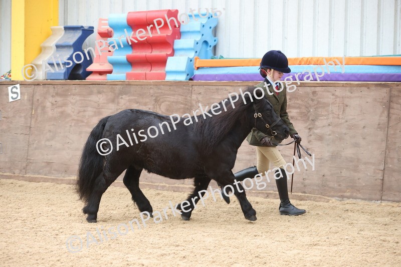 20251109-0151 - Class 8 - Young Handlers