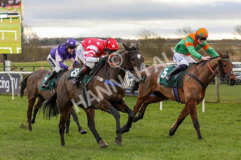 020224-Race 2-Onenightintown-6686 - Race 2