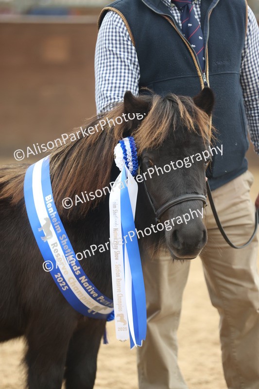 20251109-0139 - Championship