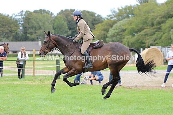 SIAL7786 - championships