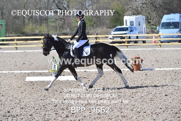 BPP_9662 - NOVICE 6