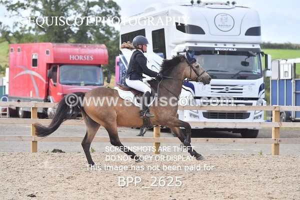 BPP_2625 - DERBY CLASS 8 - 90CM