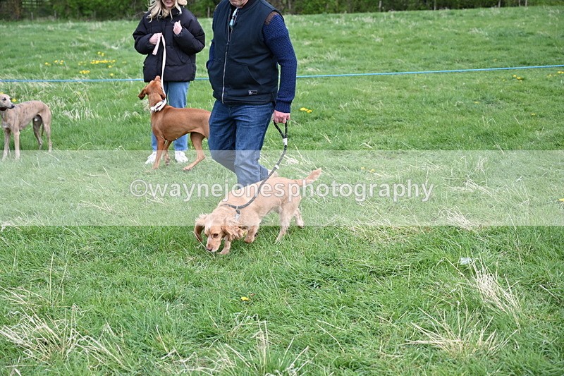 WJ6_8135 - Class 2 Best Pedigree