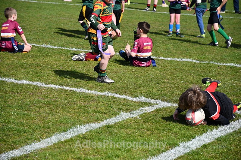 - Selby Rugby Festival 2025