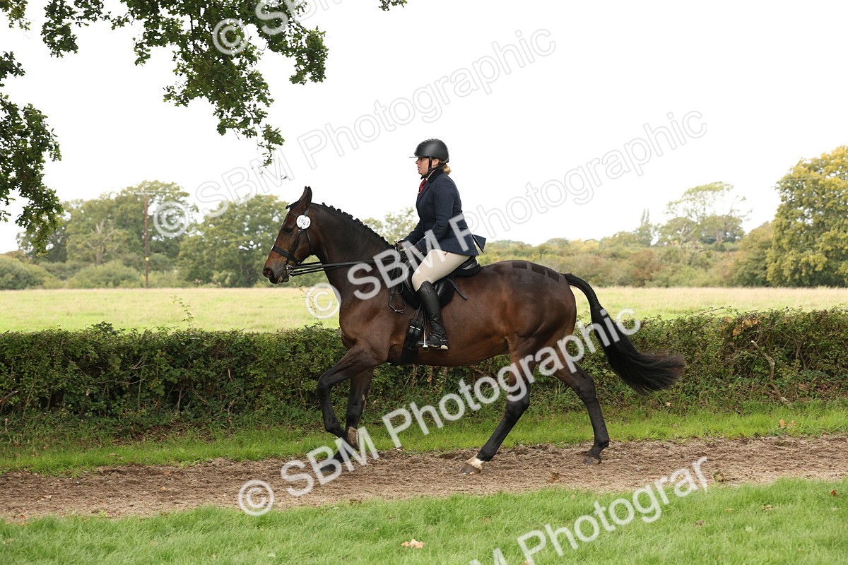 SBM_66344 - S66 - Hunter Ridden
