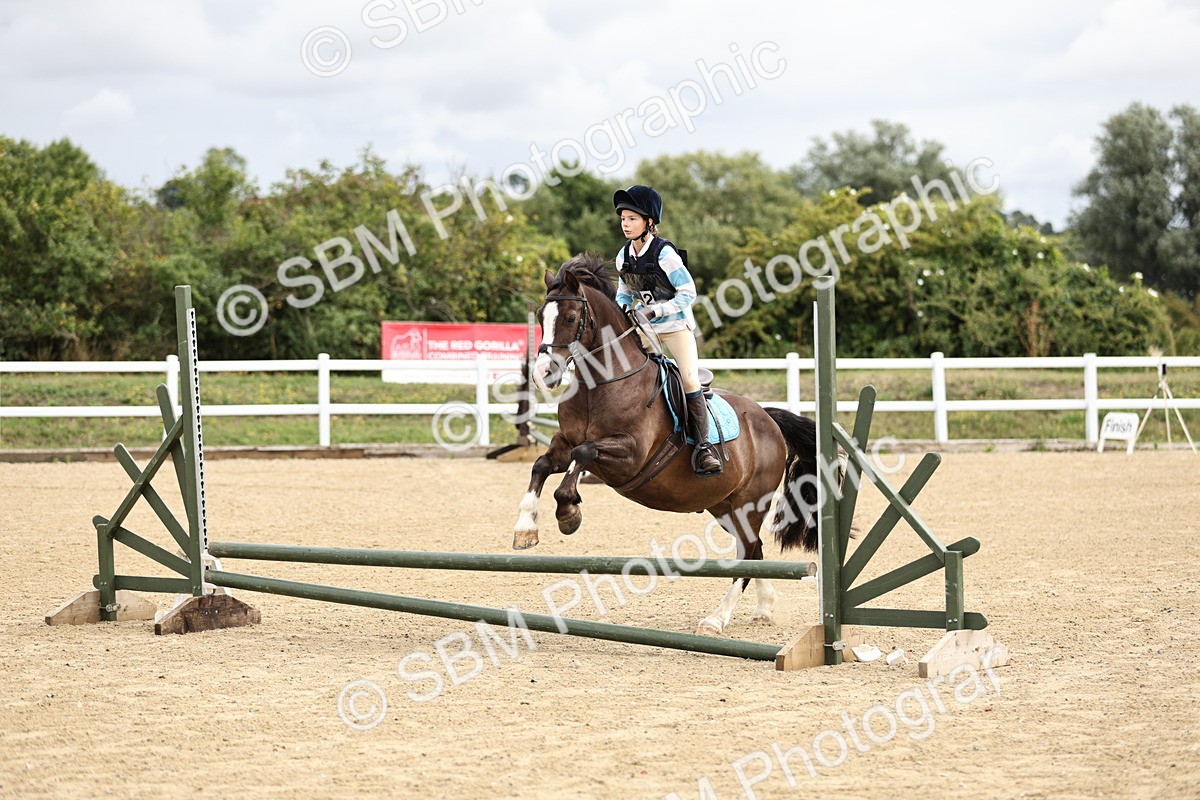 SBM_002897 - 50cm