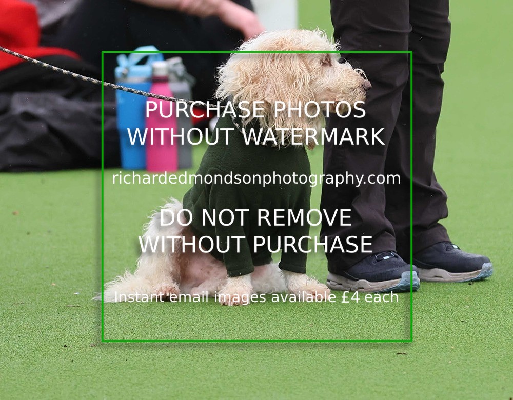 533A1392 - Ambleside Hockey vs Keswick Hockey (20/9/25)