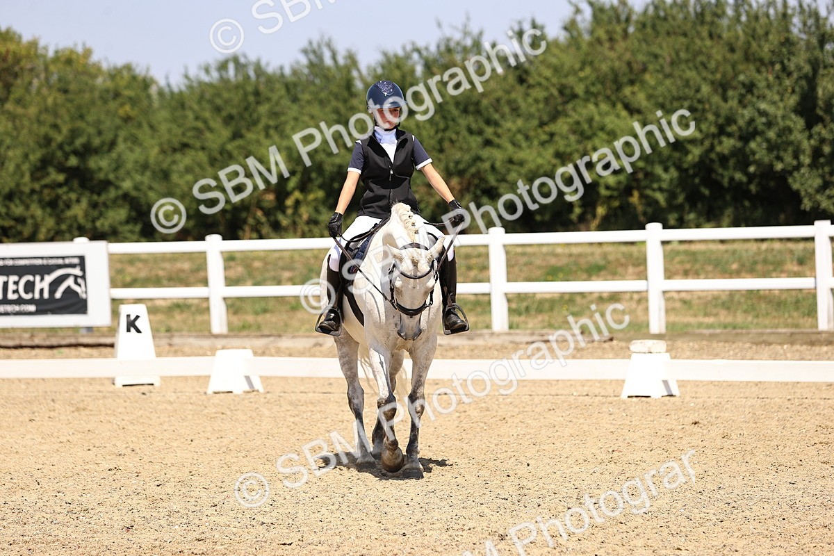 SBM_004072 - Intro 2