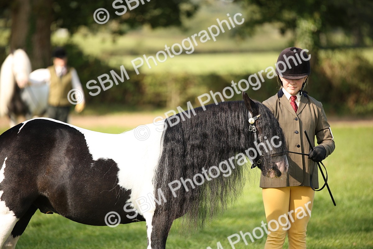 SBM_62224 - S55 - Traditional Cob In Hand