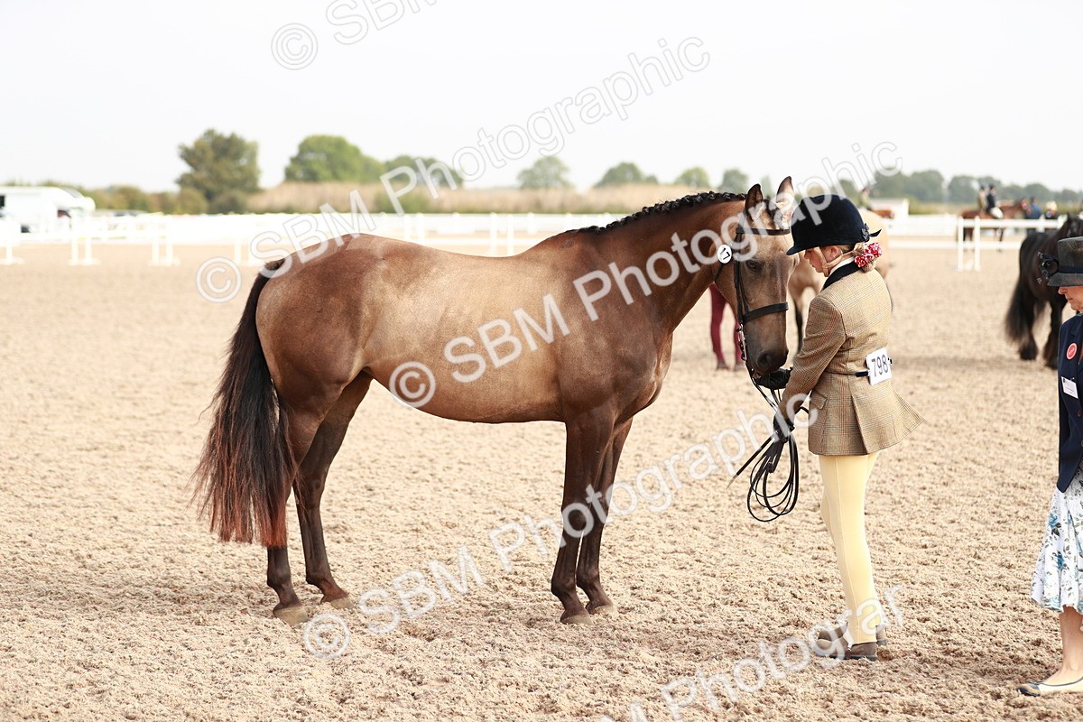 SBM_10575 - Class 204 Young Handler, 11-16 years