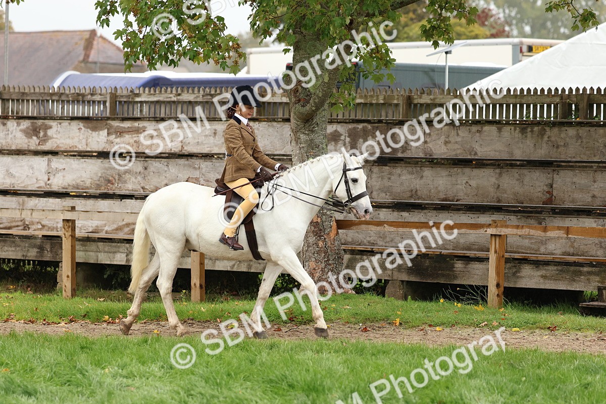 SBM_72974 - S63 Show Pony & Show Hunter Pony Ridden