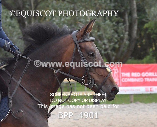 BPP_4901 - CLASS 4 Senior BritiNovice/ 90cm Open