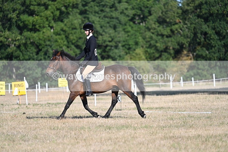 WJ7_8522 - Time 09:00 to 09:24