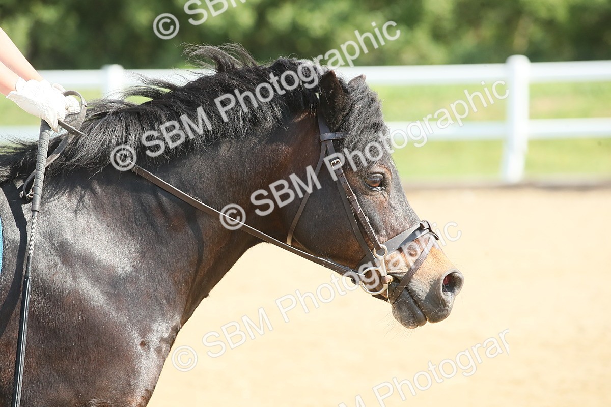 SBM_011154 - 60cm