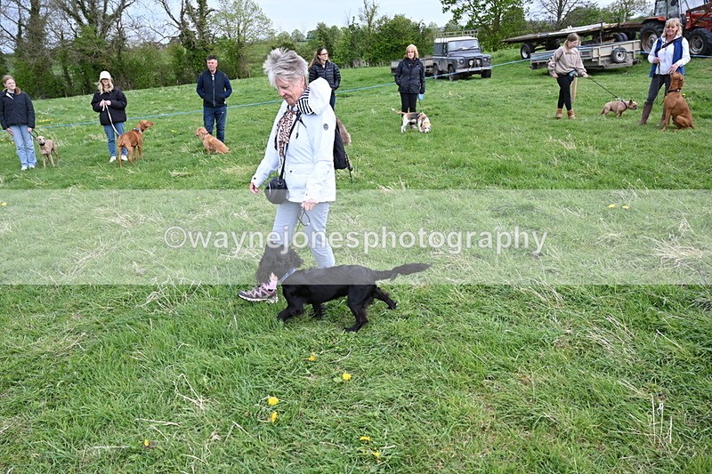 WJ6_8152 - Class 2 Best Pedigree