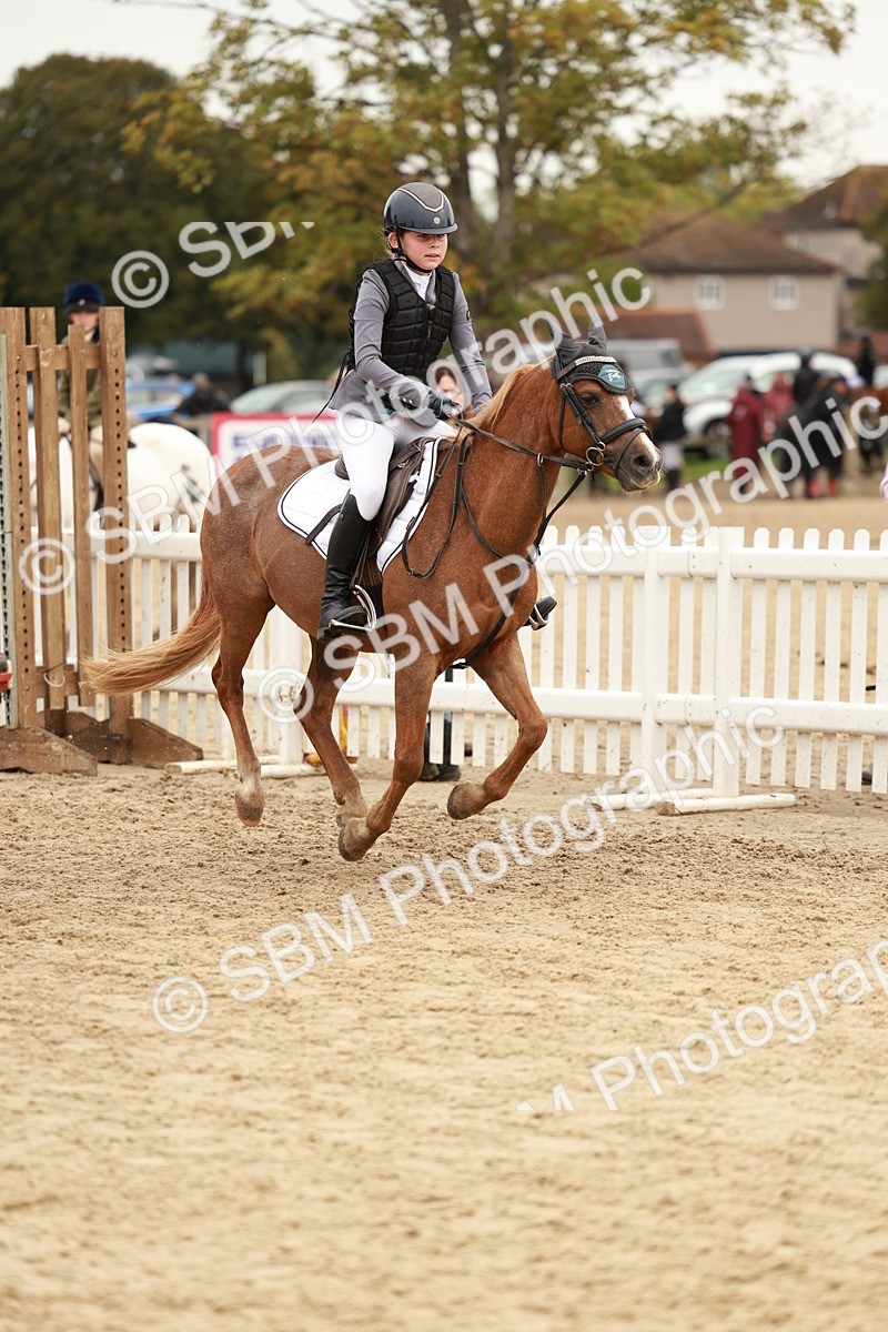 SBM_57974 - J11 - Junior Pony 50cm Championship