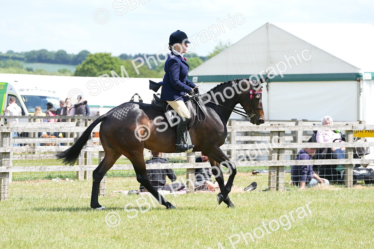 SBM_15890 - Class 103-104 - RIHS Hacks