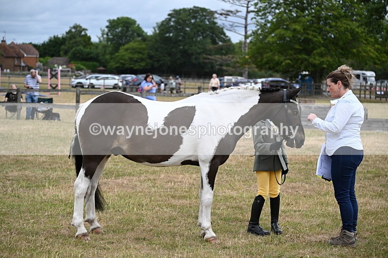 WJ6_4310 - Class 10 Coloured In-hand