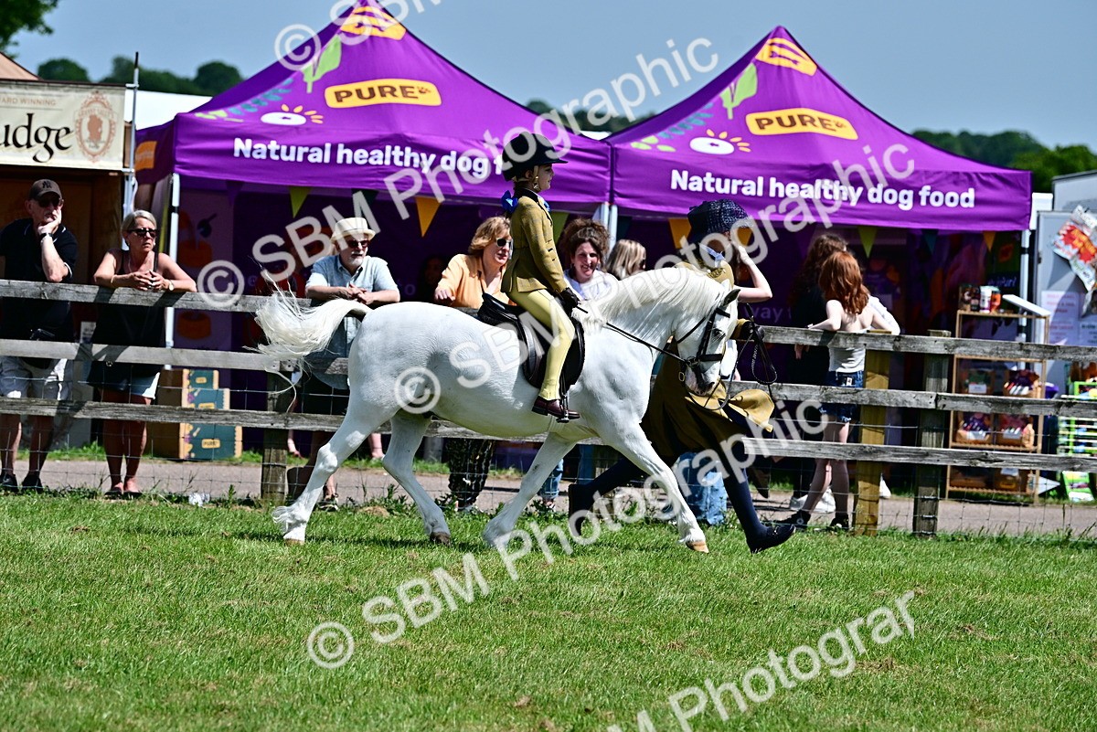 SBM_05782 - Class 59-60 - TSR M&M  Lear Rein and First Ridden Amateur of the year