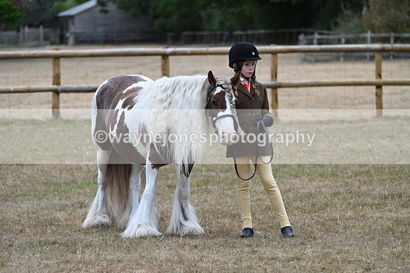 WJ7_8097 - Class 4 Prettiest Mare up to 14.2hh