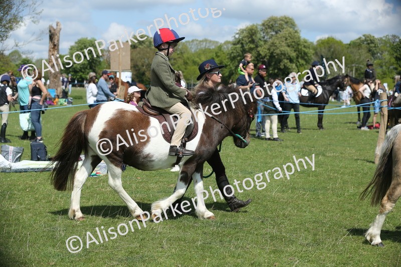 20250427-2806 - Class 7 - Prettiest Mare