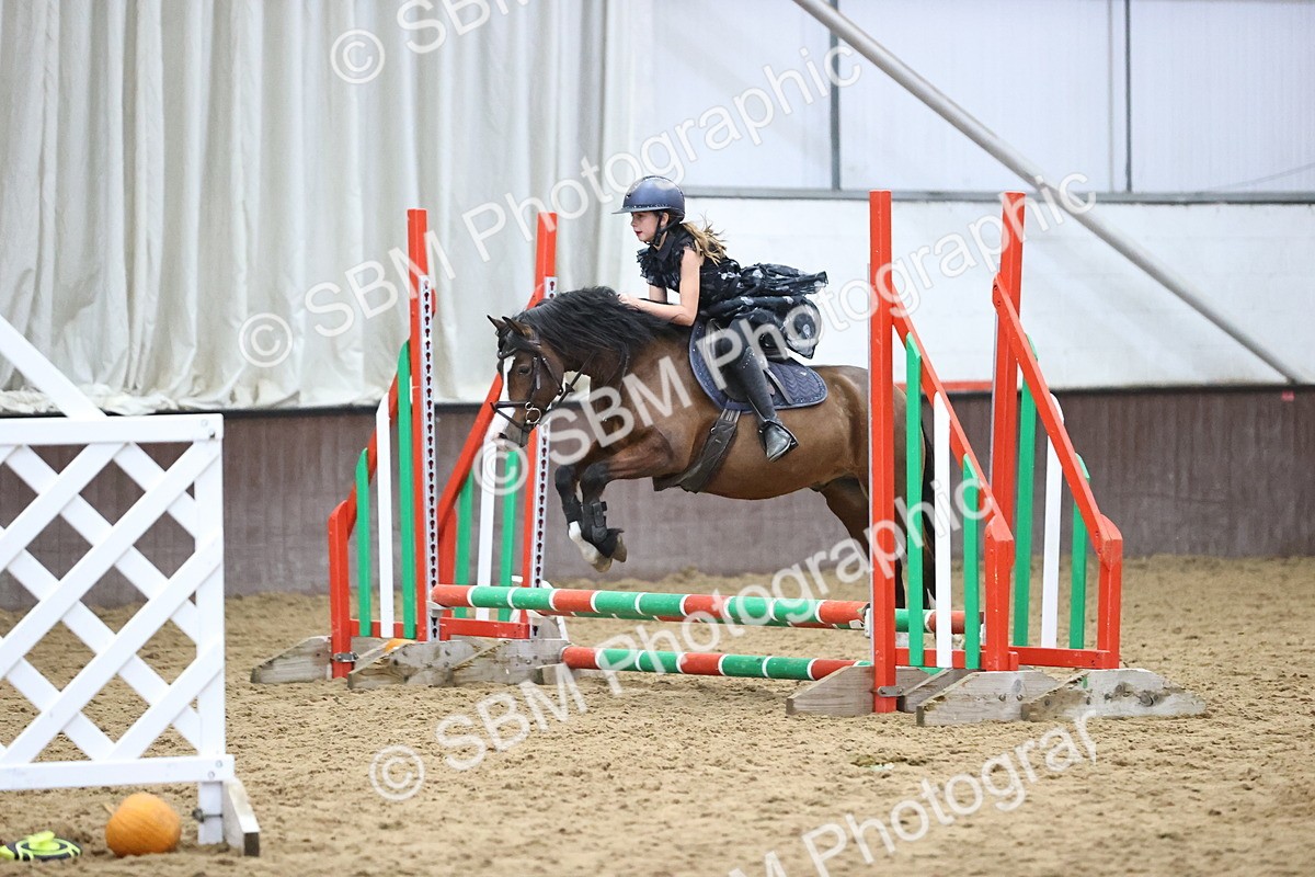 SBM_001222 - Class 3 - Horse & Hound 60cm