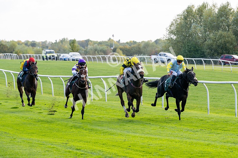 171026-Race 1-Lions Den-4790 - Race 1 1pm EBF 'Confined' Restricted Maiden Stakes
