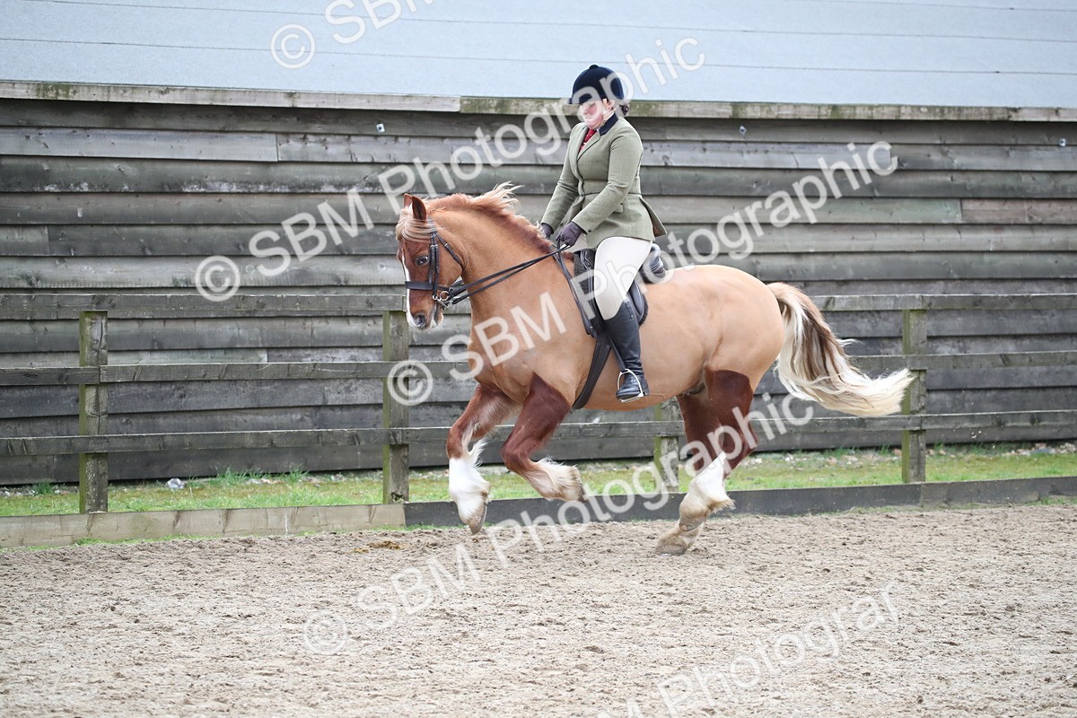 SBM_006157 - Class 10-13 - RIHS Small Large Breeds