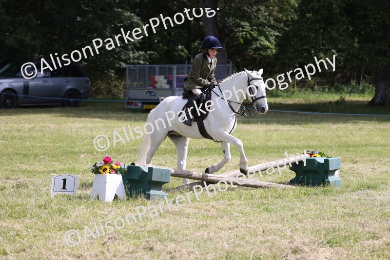 20260614-0644 - Class 20 - Beginners Working Hunter Pony