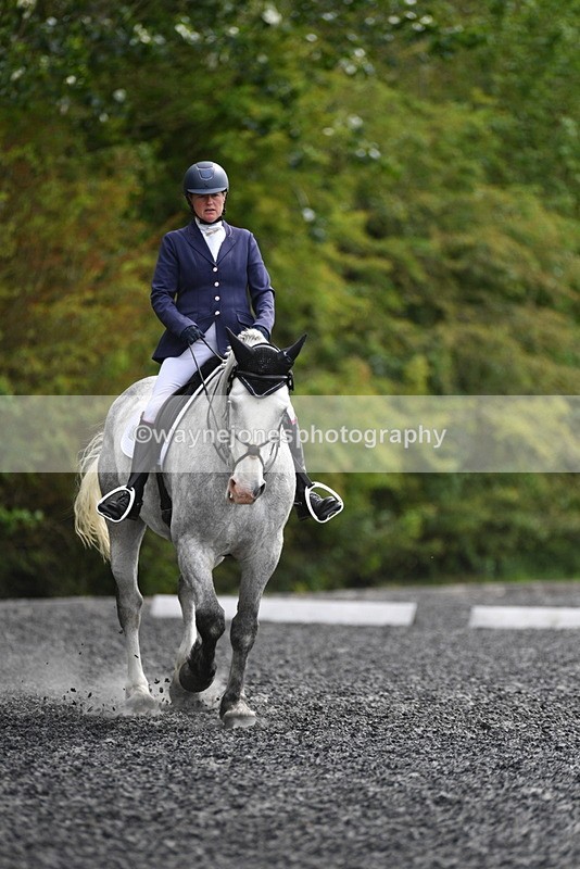 WJ5_2212 - Time 15:05 to 15:30