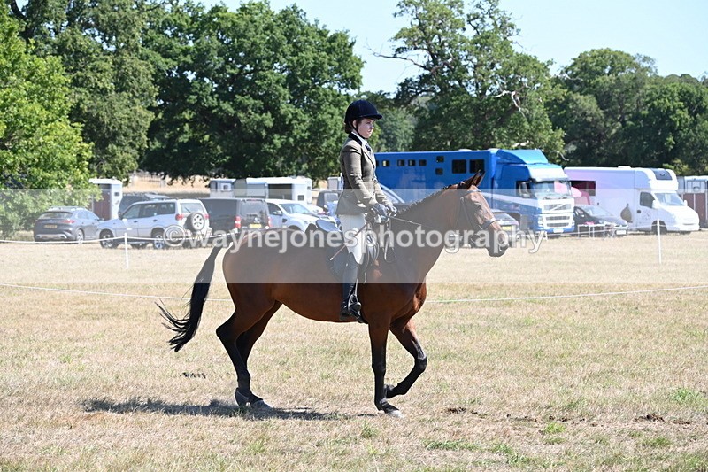 WJ6_8356 - Class 37a Best Loan Pony Ridden